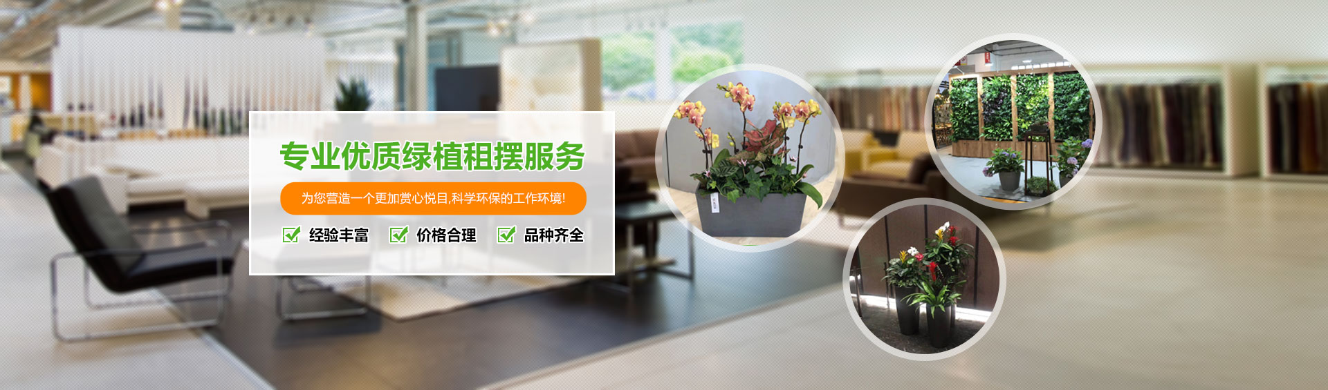 湖州花卉租赁