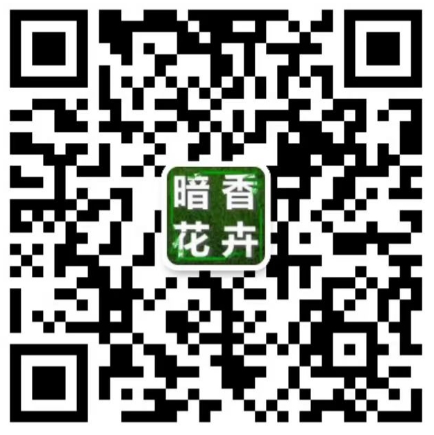 扫一扫 联系我们