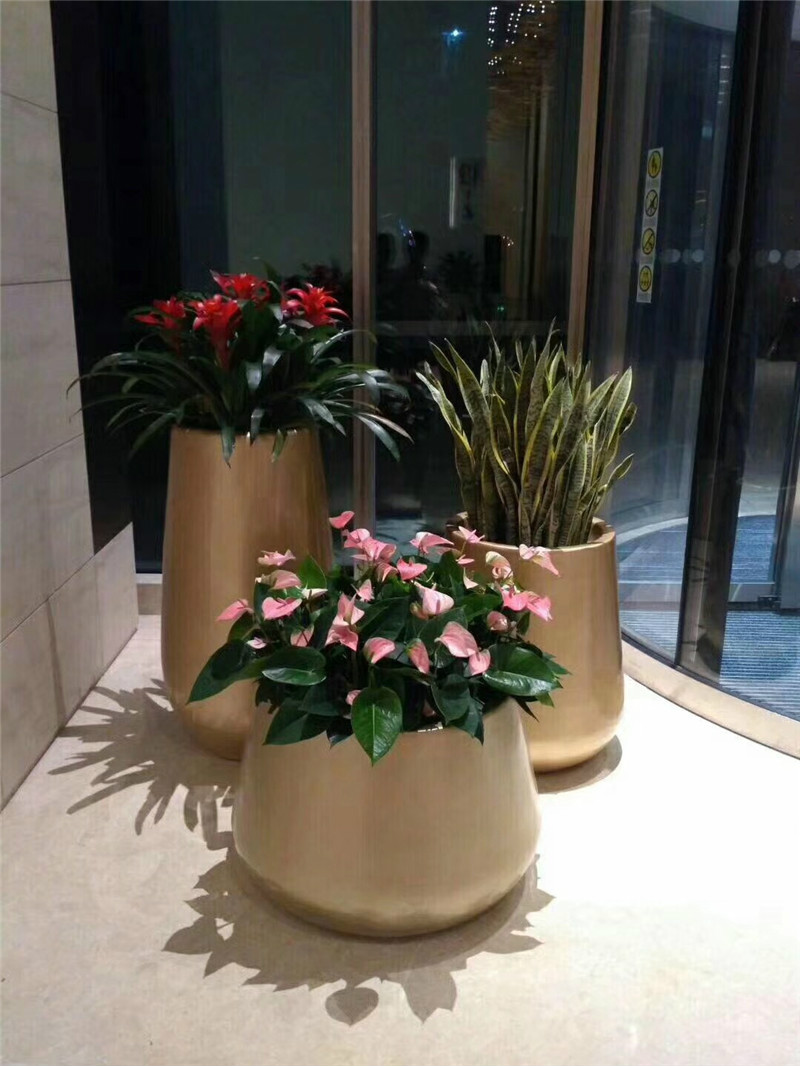 室外绿植 5