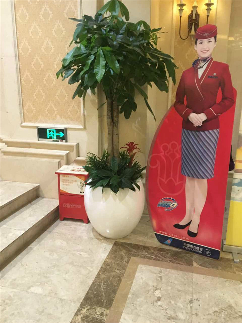室外绿植 3(图1)
