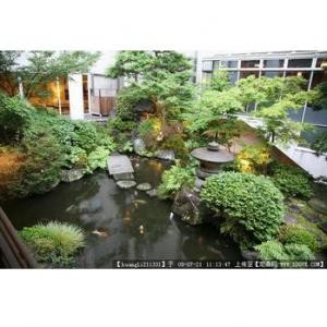 植物摆放设计 9