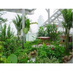 植物摆放设计 10